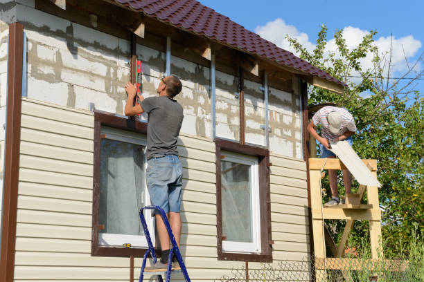 Best Siding Painting and Refinishing  in Big Le, AK