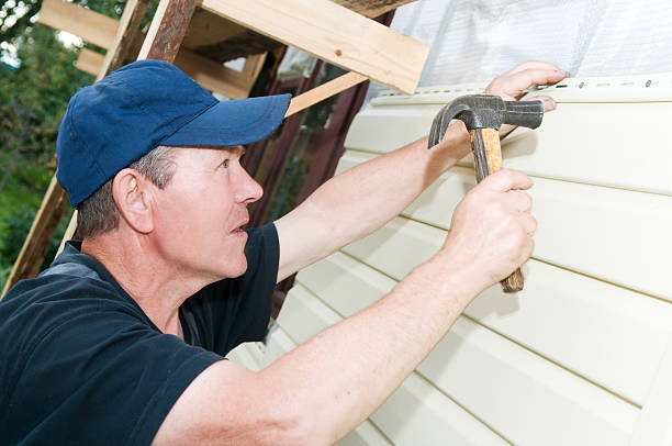 Best Fascia and Soffit Installation  in Big Le, AK